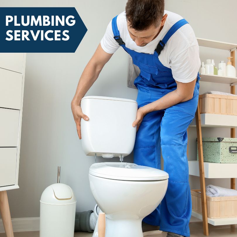 Plumbing Company in Wesley, IA